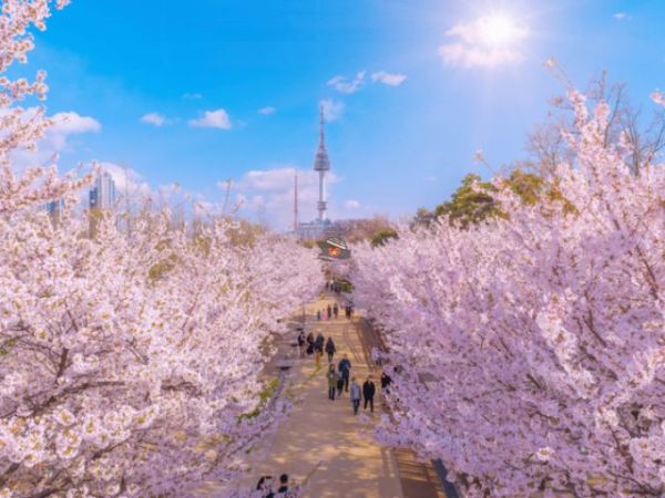 Private Seoul City Tour From Incheon Port Cruise Terminal - Ảnh 2