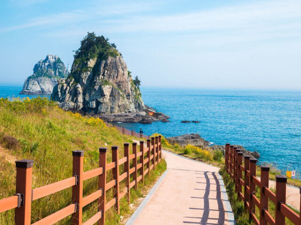 Busan City Highlights Private Tour - Ảnh 1