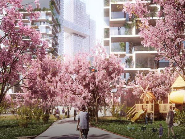 Busan City Highlights Private Tour