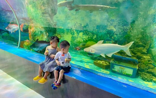 Hanoi shore tours offer free kids' travel, group deals, and early booking perks