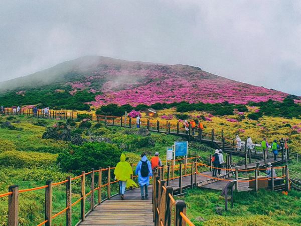 Jeju City Highlights Included BBQ Lunch From Cruise Port 