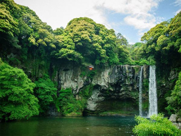 Private Tour Discover Jeju Island Food Tasting From Cruise Port