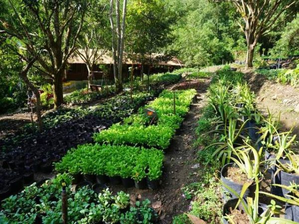 Private Day Tour Living In The Natural Nha Trang - Ảnh 1