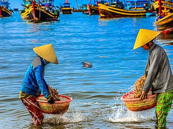 5D4N Package Trip From Incheon To Mui Ne Vietnam - Ảnh 2
