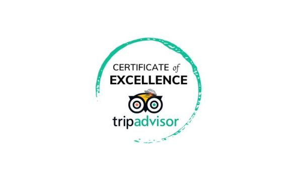Top-rated across platforms for exceptional service and unforgettable tour experiences