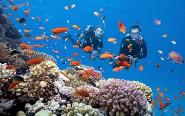 Know the tour requirements to ensure a safe, smooth, and enjoyable experience