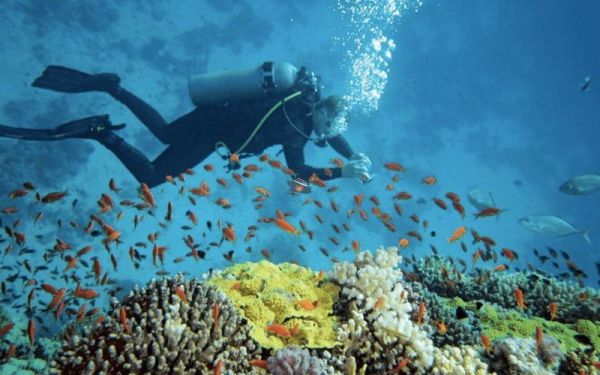 A full-day Nha Trang tour with snorkeling, island fun, and BBQ by the sea
