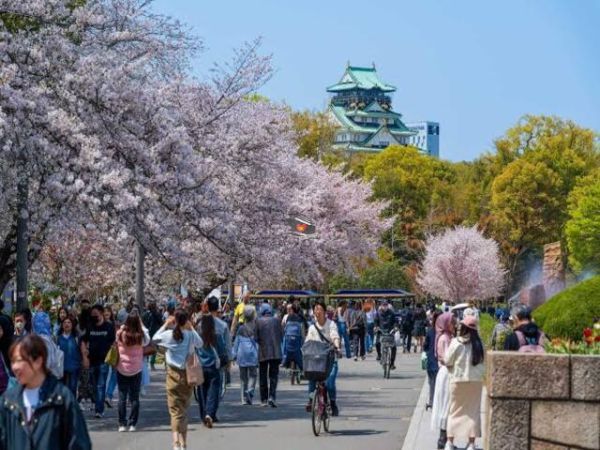 Private Tour To Osaka City Highlights From Cruise Port - Ảnh 2