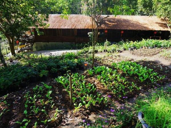 Nha Trang 2 Days 1 Night Camping In The Forest - Ảnh 4