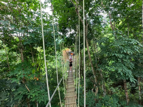 Day Tour Discover Kong Forest Canopy Zipline Nha Trang - Ảnh 1