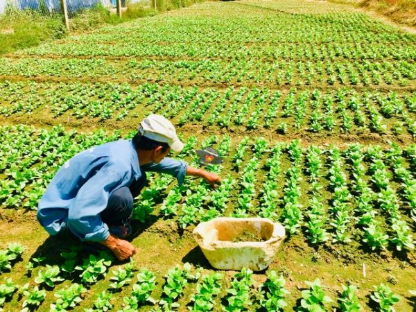 Visit An Orphanage And Discover The Countryside Nha Trang - Ảnh 2