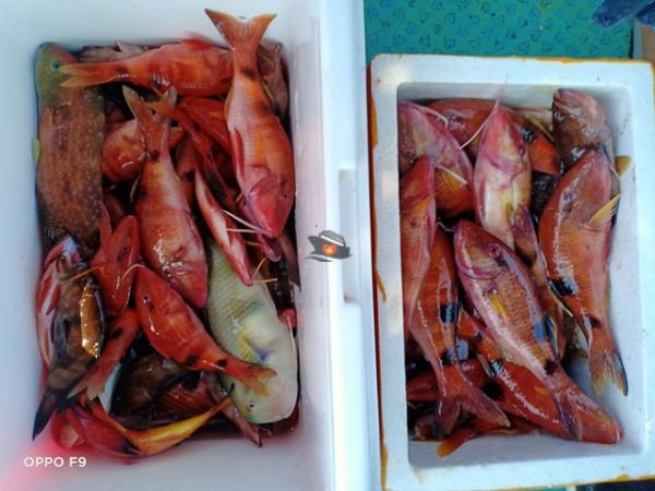 Nha Trang Fishing Trip With The Locals - Ảnh 4