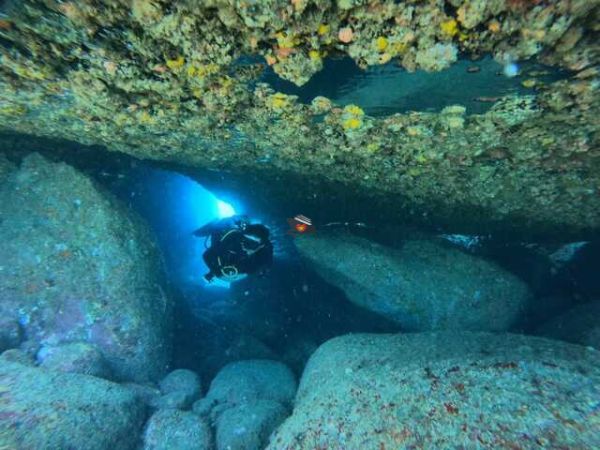 Advanced Open Water Diver Course Nha Trang - Ảnh 3