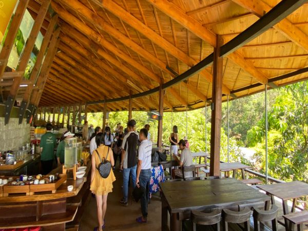 Nha Trang 2 Days 1 Night Camping In The Forest - Ảnh 1