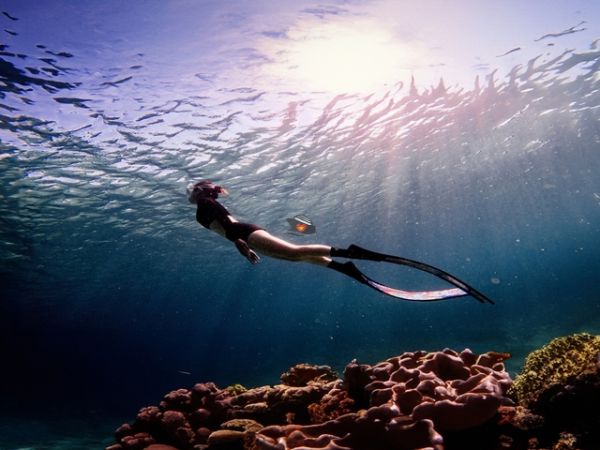 Private Freediving Tour Nha Trang