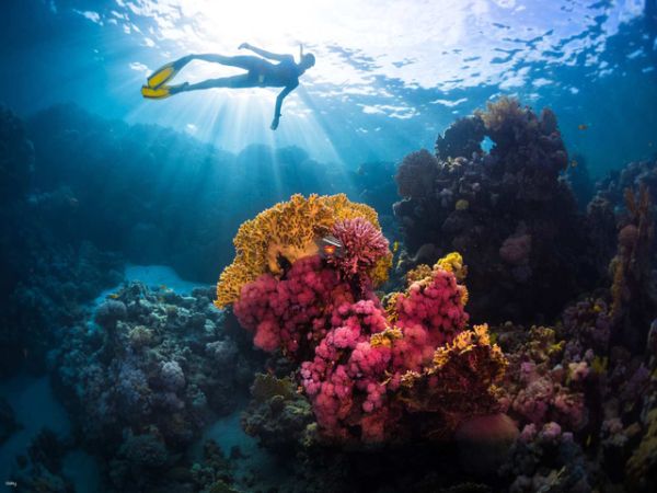 Private Freediving Tour Nha Trang