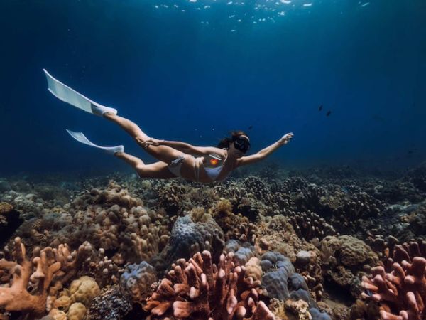 Private Freediving Tour Nha Trang