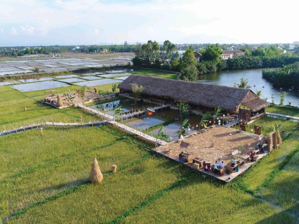 Hoi An Romantic Dining On The Paddy Field