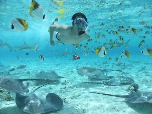 Nha Trang Private Snorkeling Tour At Ray Beach - Ảnh 3