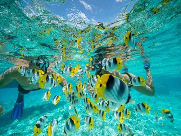 Nha Trang Private Snorkeling Tour At Ray Beach - Ảnh 2