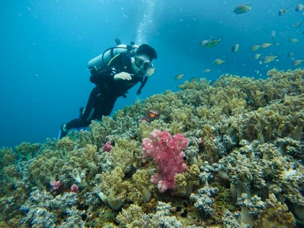 Best spot for scuba diving in Nha Trang Vietnam