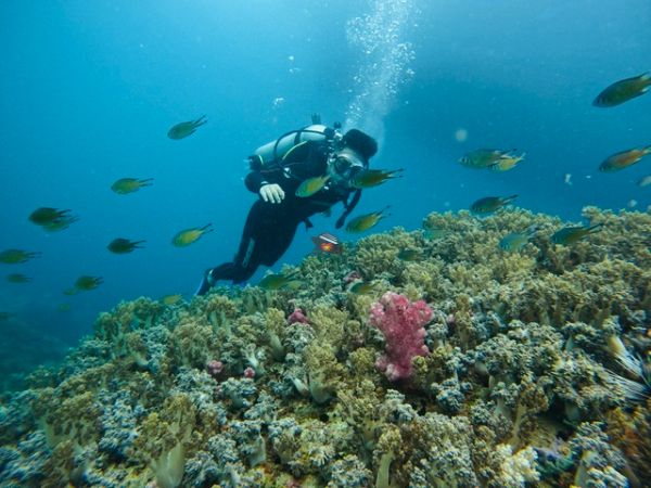 Nha Trang Island Hopping And Scuba Diving Tour - Ảnh 3