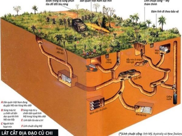 Private Tour Cu Chi Tunnels From Phu My Port