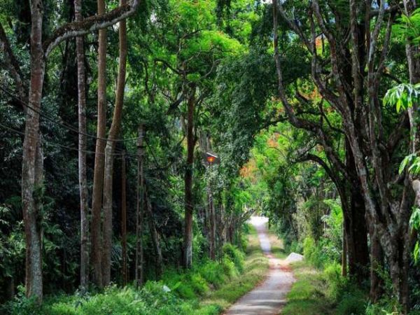 Cuc Phuong National Park Vietnam