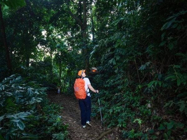 Cuc Phuong National Park Vietnam