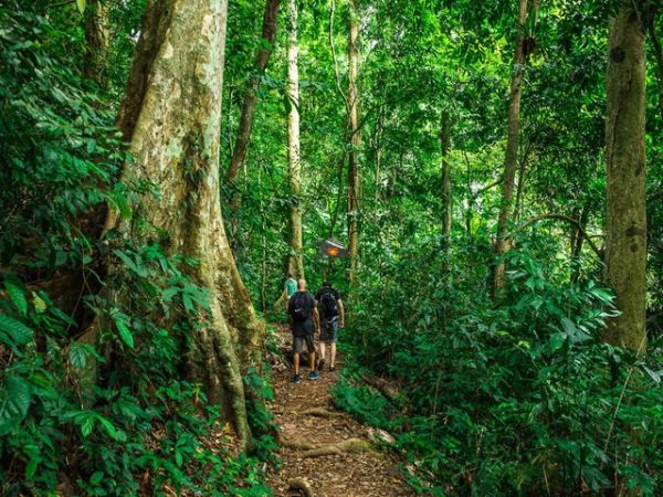 Cuc Phuong National Park Vietnam