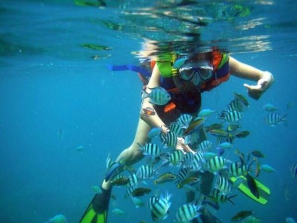 Nha Trang Private Snorkeling Tour At Ray Beach