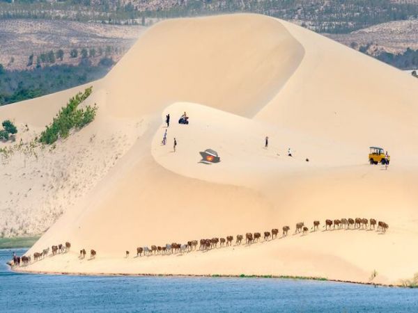 Mui Ne White Sand Dune