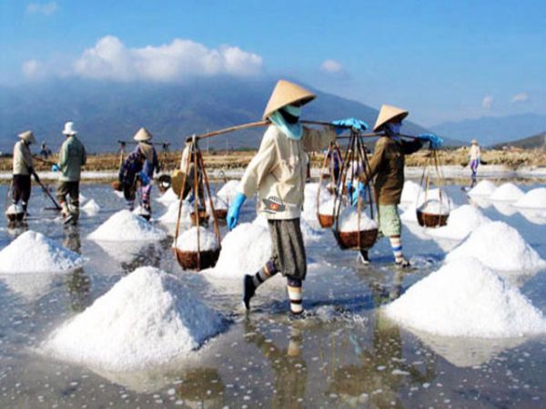 Nha Trang Salt Fields