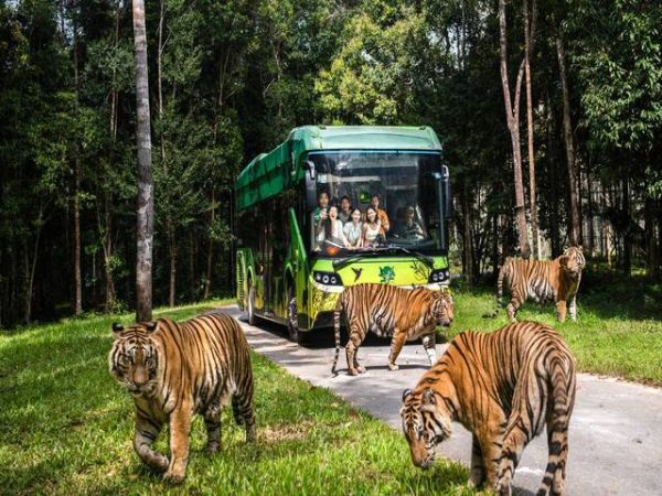 Things To Do In Phu Quoc Island