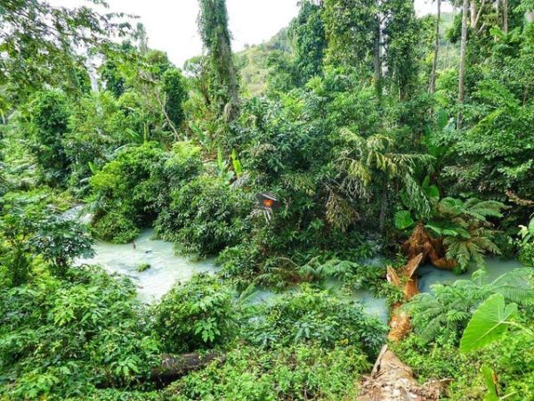 Yok Don National Park Vietnam