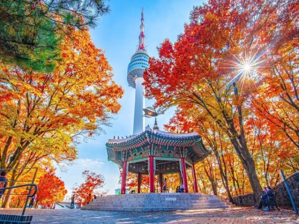 Seoul Shore Excursions - Ảnh 4