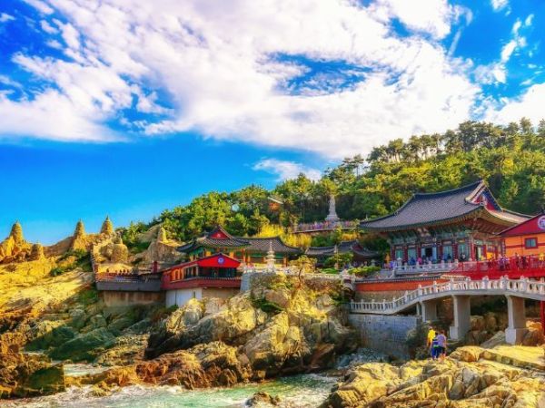 Busan Shore Excursions (2)