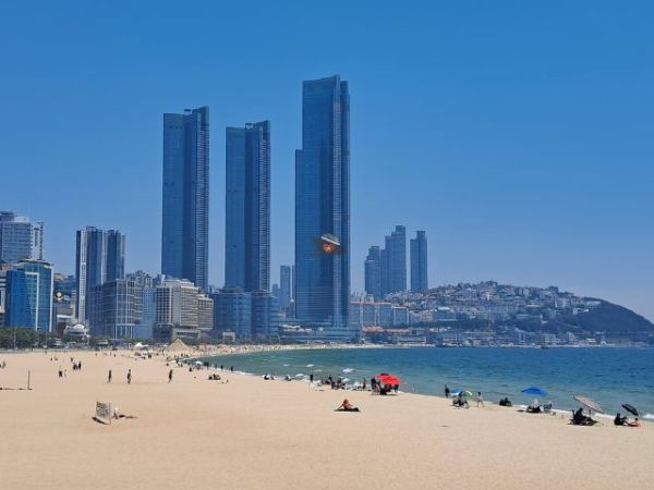 Busan Shore Excursions (8)