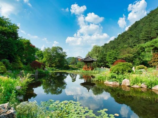 Seoul shore excursions (12)