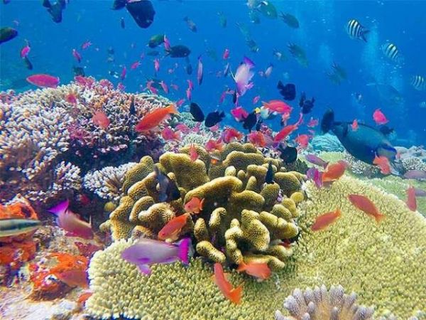 Nha Trang Island Hopping Tour - Ảnh 4