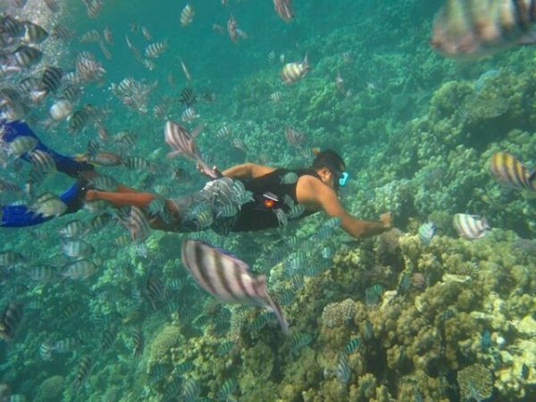 Snorkeling Tour At Hon Mun And Mini Beach
