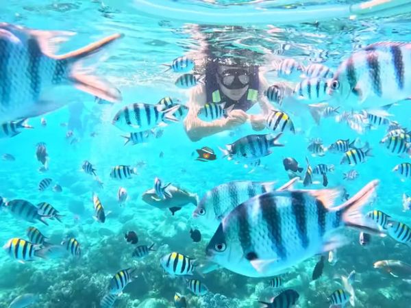 Snorkeling Tour At Hon Mun And Mini Beach