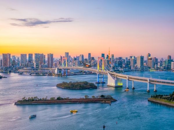 Private Tour Explore Tokyo City Highlights From Cruise Port