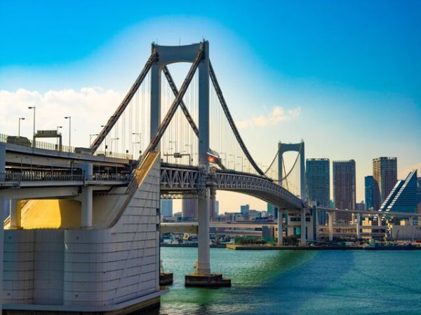 Private Tour Explore Tokyo City Highlights From Cruise Port - Ảnh 1