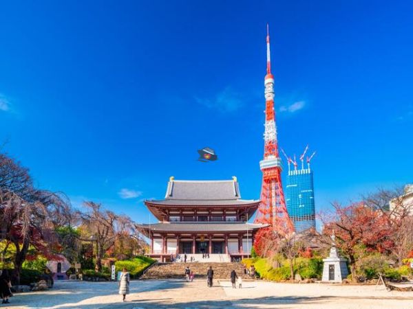 Private Tour Explore Tokyo City Highlights From Cruise Port
