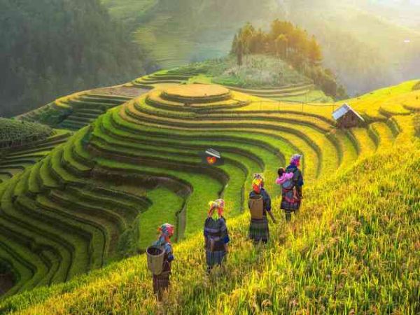 Sapa Vietnam Travel Guide 2024