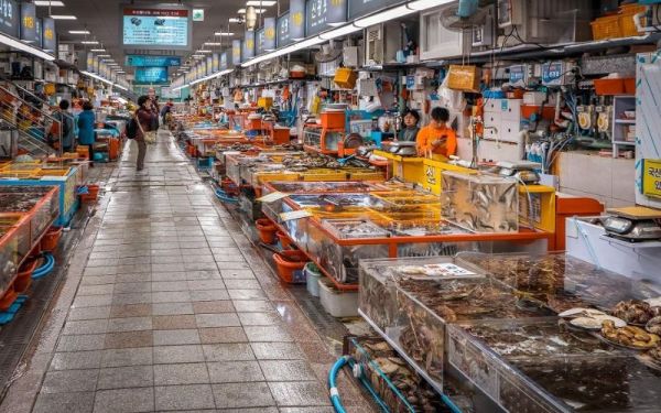Jagalchi Fish Market showcases Busan’s culinary spirit and resilient local culture